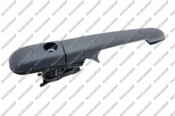 Exterior Door Handle (VG9508111)