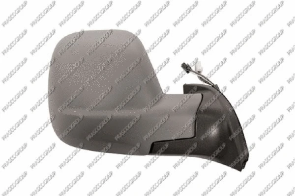 Exterior Mirror (PG9107233)