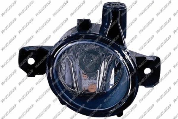 Front Fog Light (BM1204415)