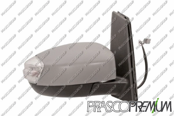 Exterior Mirror (FD7197303)