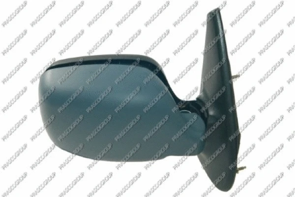Exterior Mirror (RN9167333)