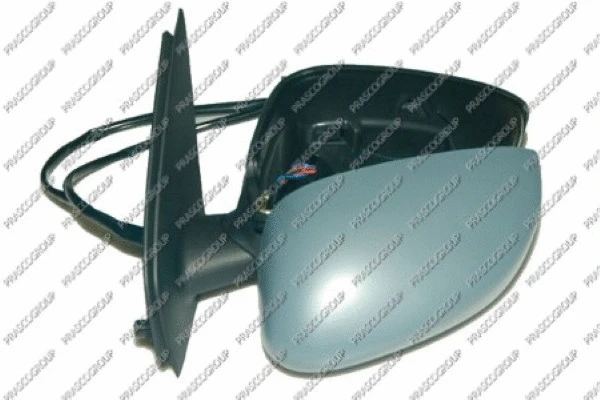 Exterior Mirror (FT4207314)