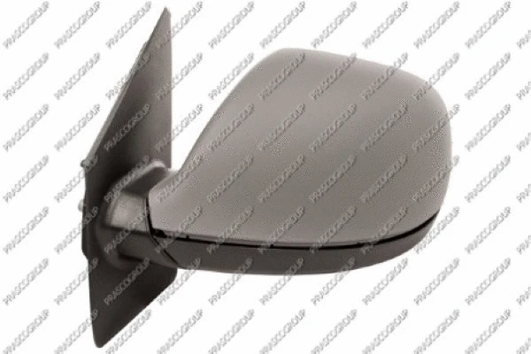 Exterior Mirror (VG9197324)