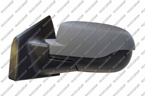 Exterior Mirror (RN3277124P)