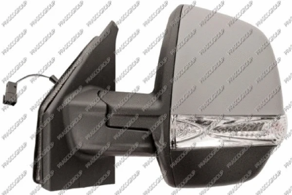 Exterior Mirror (FT9107144)