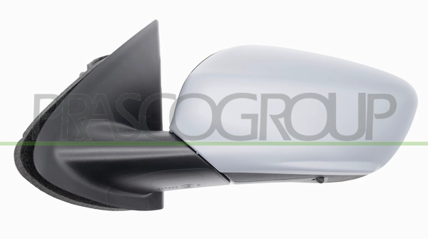 Exterior Mirror (PG4007124)