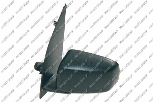 Exterior Mirror (FT1227004)