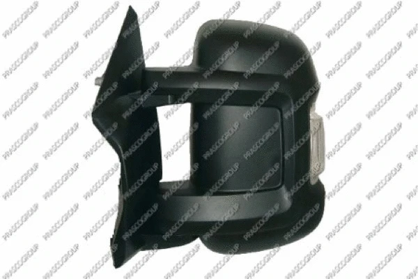 Exterior Mirror (FT9307005)