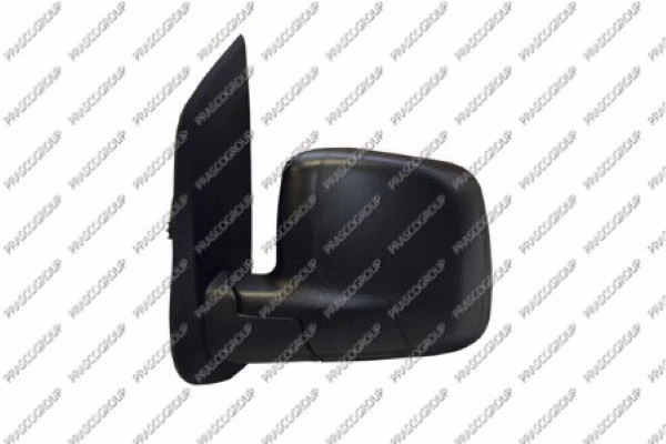 Exterior Mirror (FT9077114)