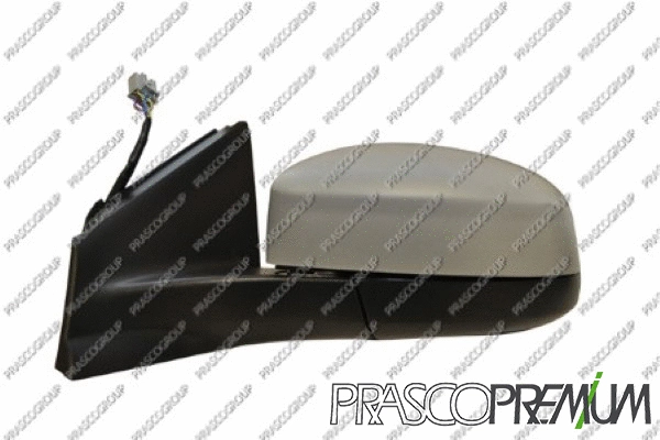 Exterior Mirror (FD1107344P)