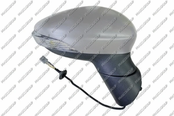 Exterior Mirror (FD6027333)