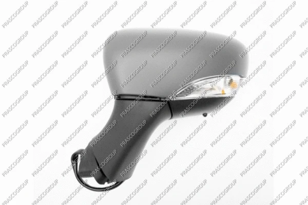 Exterior Mirror (RN3297324P)