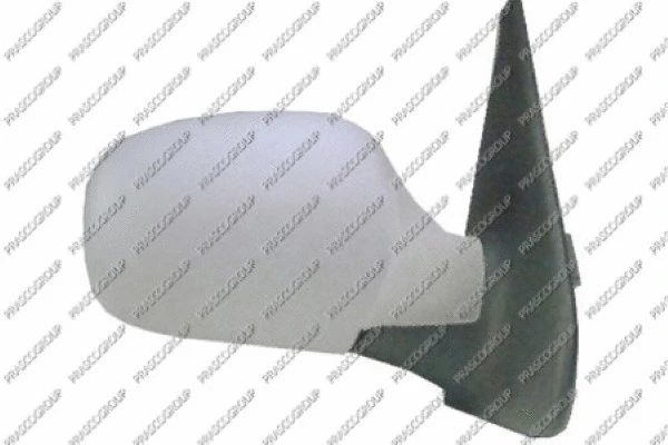 Exterior Mirror (RN3227323)