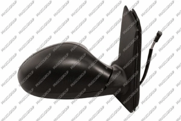 Exterior Mirror (ST3207313)