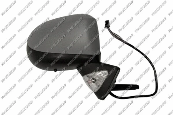 Exterior Mirror (RN3107343)