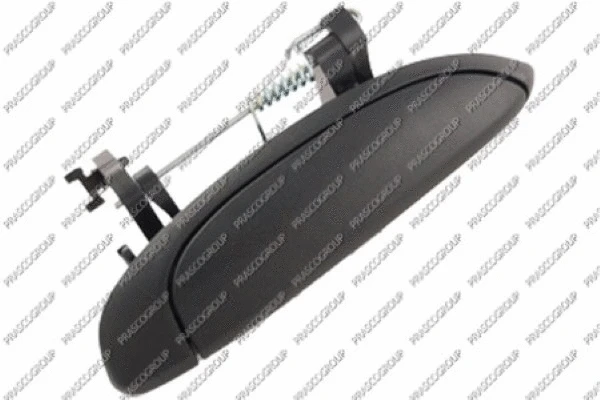 Exterior Door Handle (RN0268201)