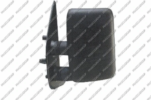 Exterior Mirror (FT9197004)