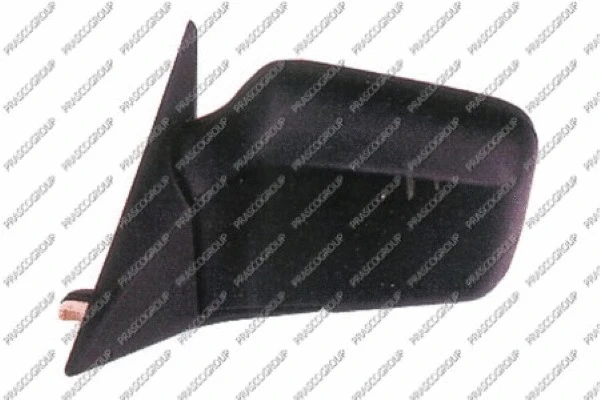 Exterior Mirror (BM0427314)
