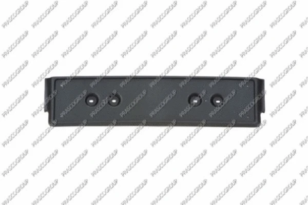 Licence Plate Holder (AD0151539)