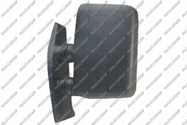 Exterior Mirror (FT9187004)