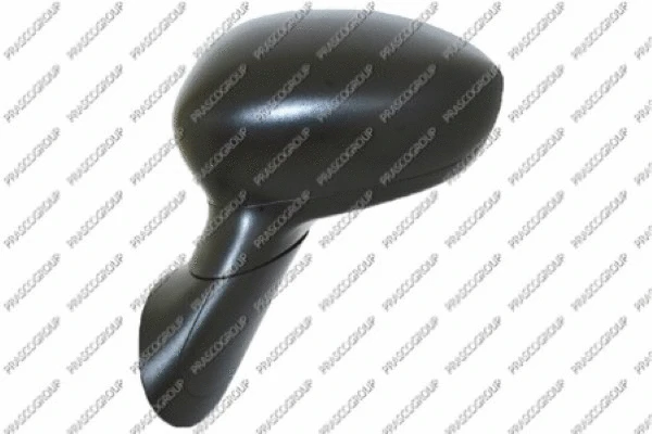 Exterior Mirror (FT0307214P)