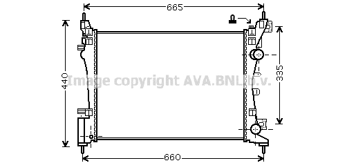 Radiator, engine cooling (OLA2408)