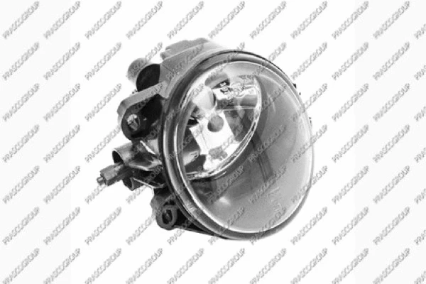 Front Fog Light (BM8204421)