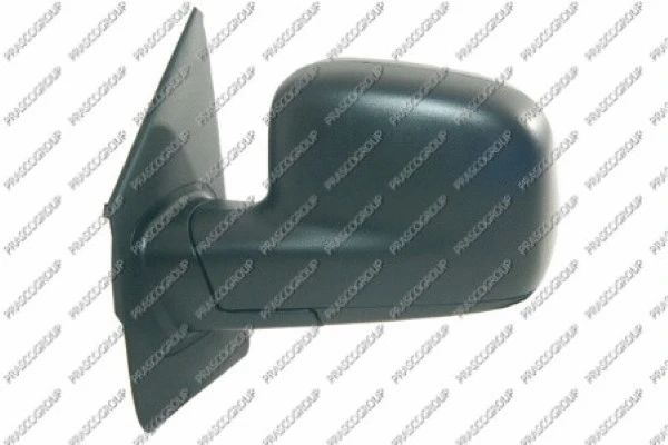 Exterior Mirror (VG9177004)
