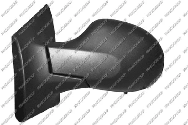 Exterior Mirror (RN3067304P)