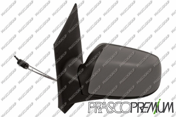 Exterior Mirror (FD4247124P)