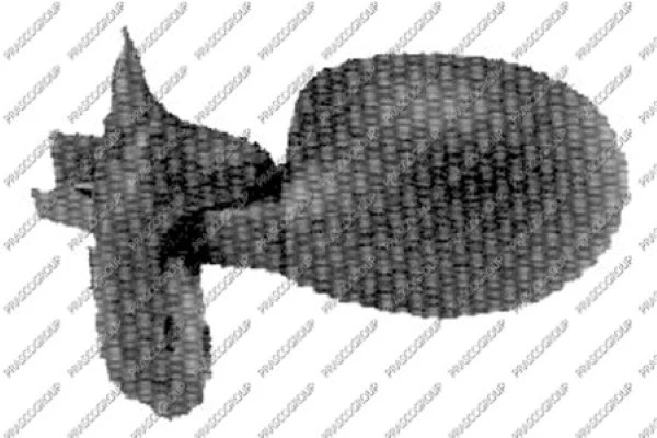 Exterior Mirror (RN0257104)