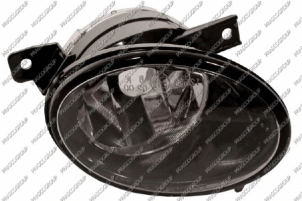Front Fog Light (VG9194413)