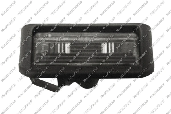 Licence Plate Light (CI9074350)
