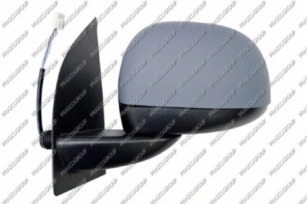 Exterior Mirror (FT1237134)
