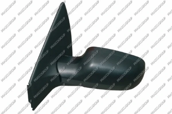 Exterior Mirror (RN4207314)