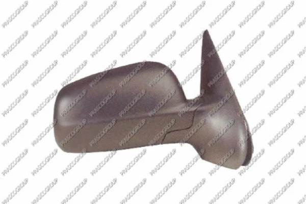 Exterior Mirror (ST0317313)