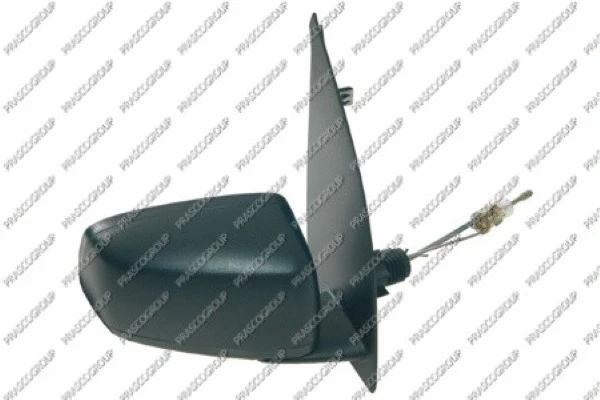 Exterior Mirror (FT1227113)
