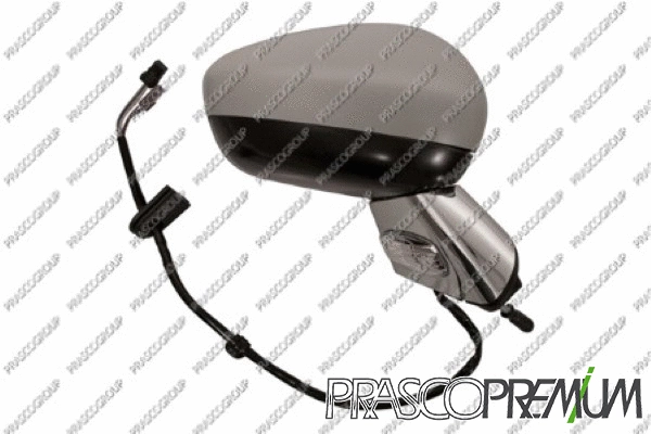 Exterior Mirror (CI3247333)