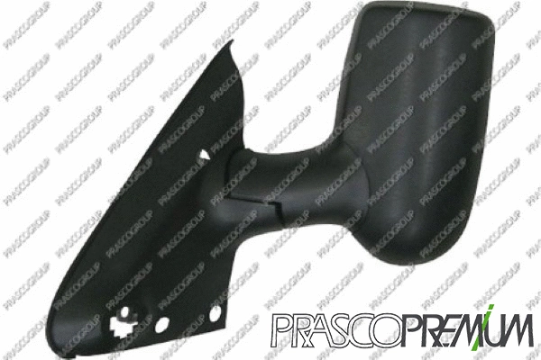 Exterior Mirror (FD9107304P)