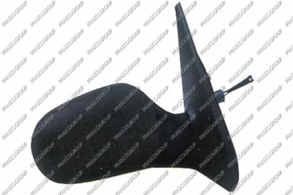Exterior Mirror (RN3207313)