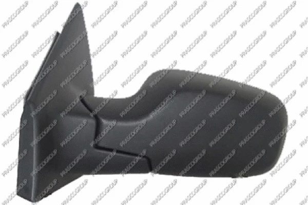 Exterior Mirror (RN3257324P)