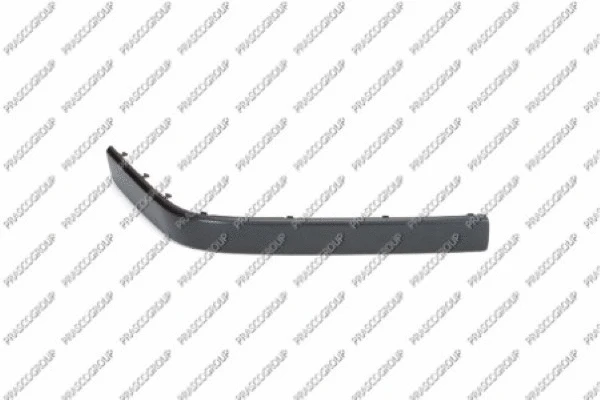 Trim/Protection Strip, bumper (BM0421243)