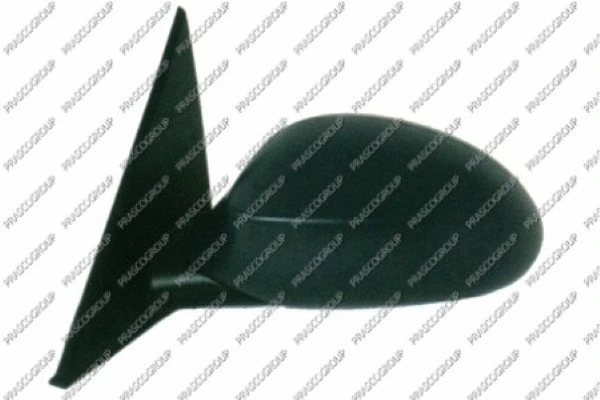 Exterior Mirror (BM1207314)