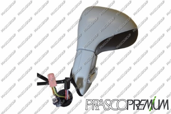 Exterior Mirror (PG4247324P)
