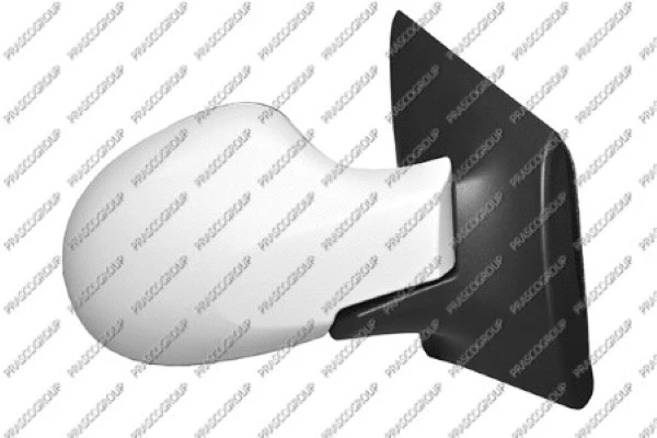 Exterior Mirror (RN3067313P)