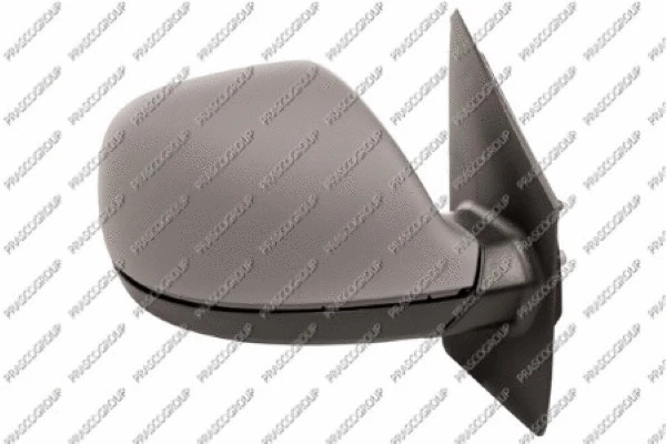 Exterior Mirror (VG9197343)