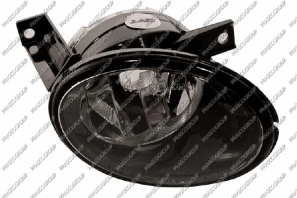 Front Fog Light (VG7194415)
