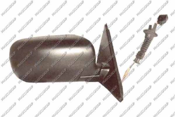 Exterior Mirror (BM0447313)