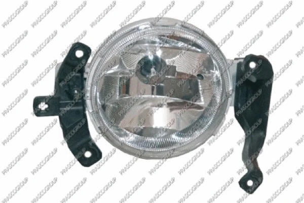 Front Fog Light (DW3244413)