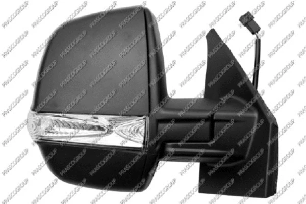 Exterior Mirror (FT9107133)